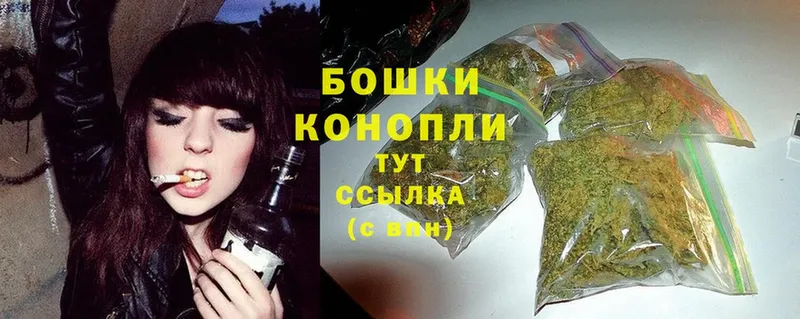 Канабис White Widow  mega как войти  Скопин  купить наркоту 